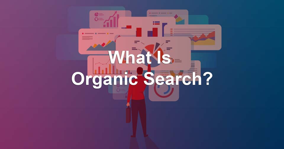 what is organic search