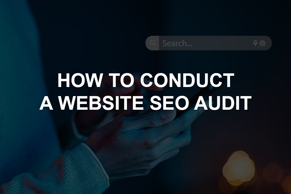 website seo audit